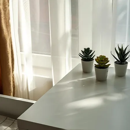 Second Next To Sea Garden Apartment