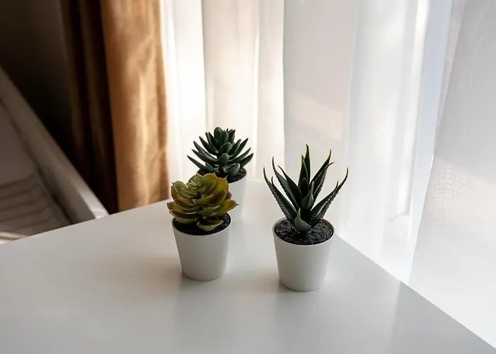 Apartment Second Next To Sea Garden *