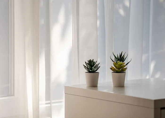 Apartment Second Next To Sea Garden Varna