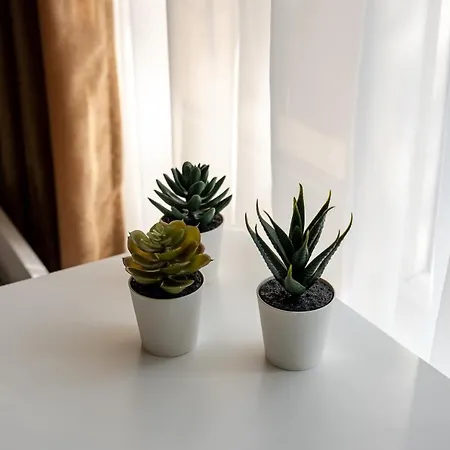 公寓 Second Next To Sea Garden *