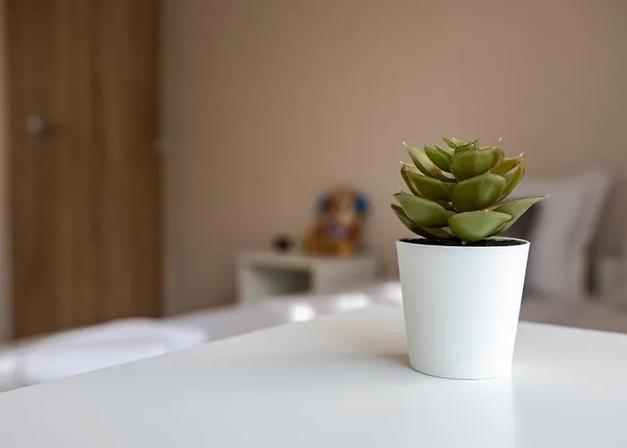 Second Next To Sea Garden